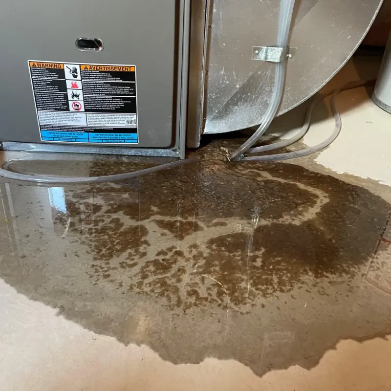 Appliance Leak Cleanup in Brodhead, WI